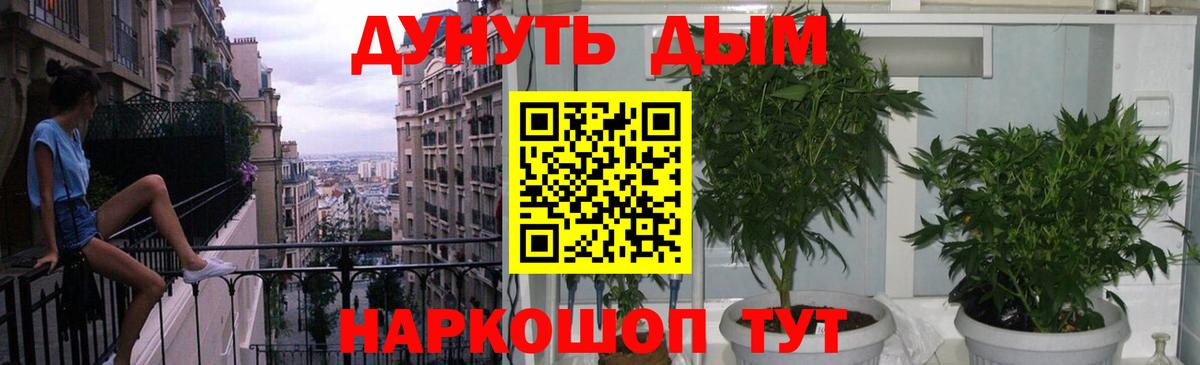 Канабис OG Kush  Шишки марихуана семена  Абакан  Марихуана конопля 